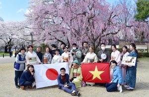 着物でさくらを楽しもう！